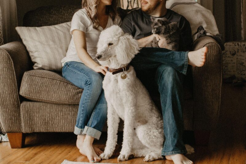 Young couple sitting on couch with a dog and cat